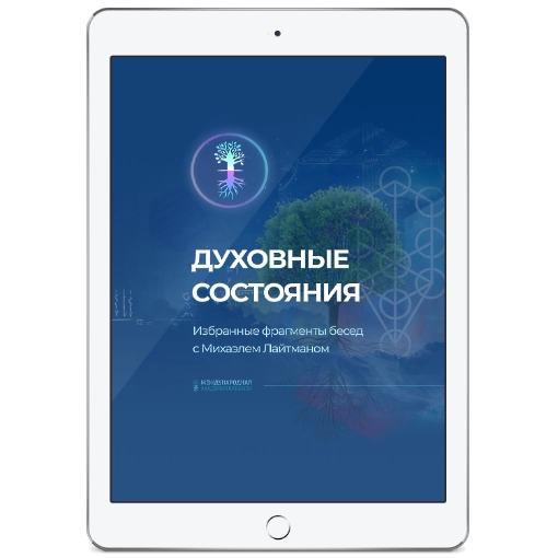 8 электронных состояний. 8 электронных состояний